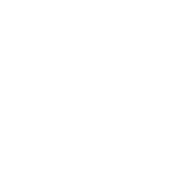 Bayside Digital - Digital and Social Design